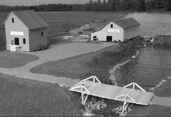 Mill at Bishops Mills